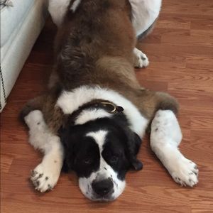 Meet your Posher, Savannab